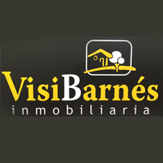 Visi Barnés